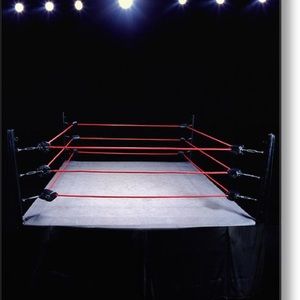 Meet your Posher, Larry